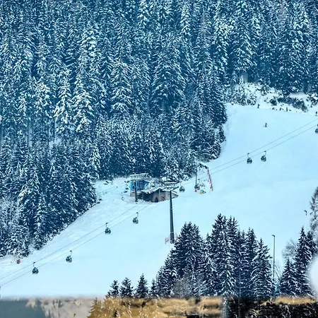 Apartment Mountain Joy - By Alpen